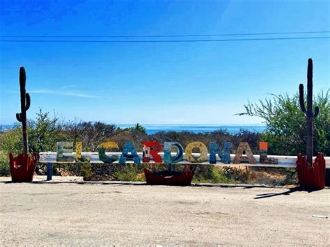 El Cardonal Tour & Sandboarding: A Candid Review of Sahuimaro Dunes