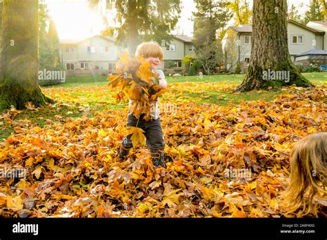Playing In Leaves