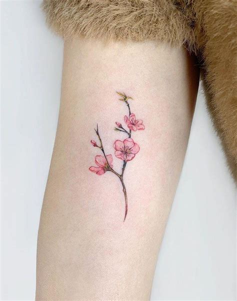 plum blossom Done at bk.inkstudio Botanical tattoo