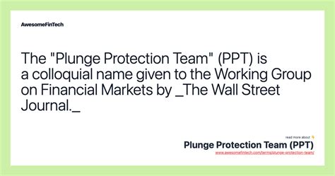 Plunge Protection Team
