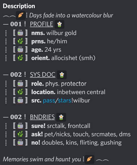 Pluralkit System Description Template