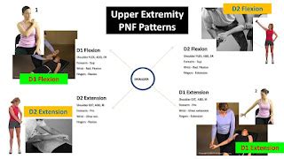 Pnf Upper Extremity Patterns