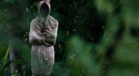 Pocong Di Pohon