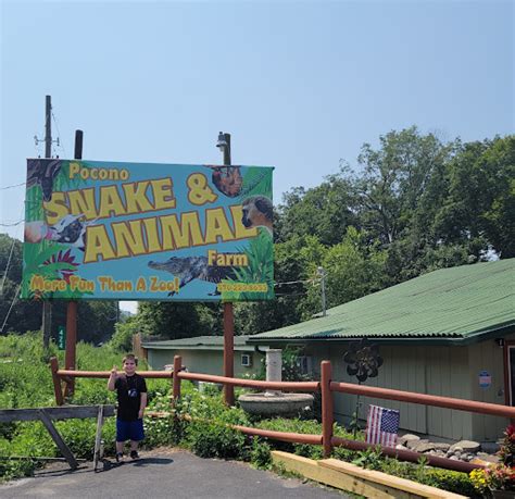 Pocono Snake & Animal Farm