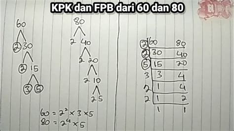 Pohon Faktor 80