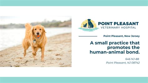 Top-Rated Point Pleasant Animal Hospital: Quality Care for Your Beloved Pets