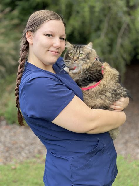 Pointe South Animal Hospital: Expert veterinary care for your furry companions