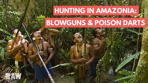 Poison in Hunting