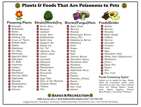 Poisonous Foods For Dogs Chart