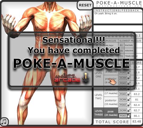 Unleash Your Inner Anatomy Expert with Poke A Muscle Game