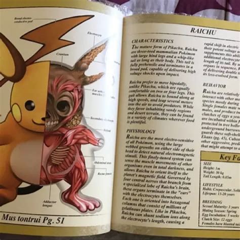 Pokemon Anatomy Book