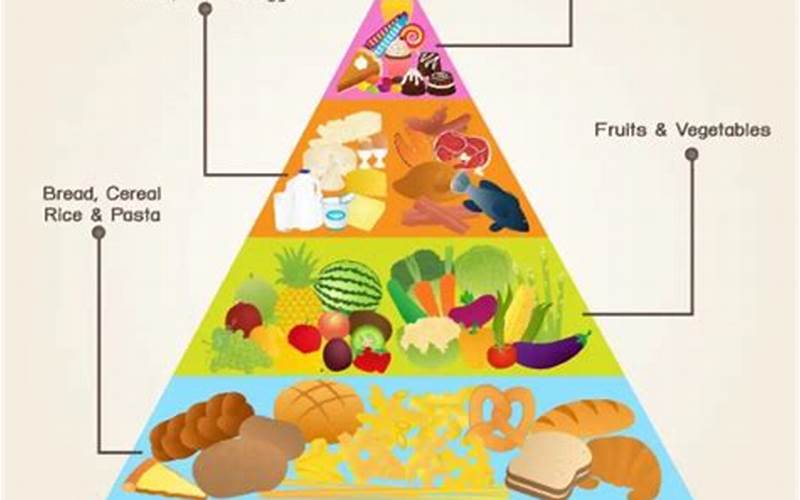 Pola Makan Yang Sehat