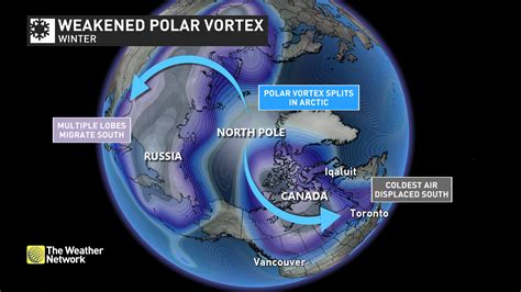 Polar Vortex DC Shivers Under Extreme Cold
