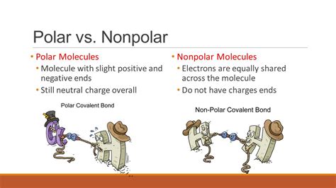 Polar versus Nonpolar Molecule