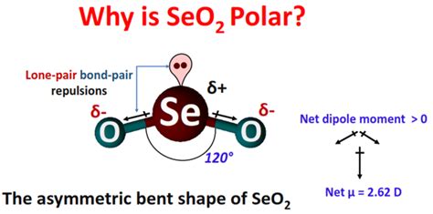 Polarity in Selenium Dioxide