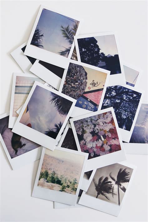 Polaroid Bilder
