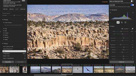Polarr screenshot