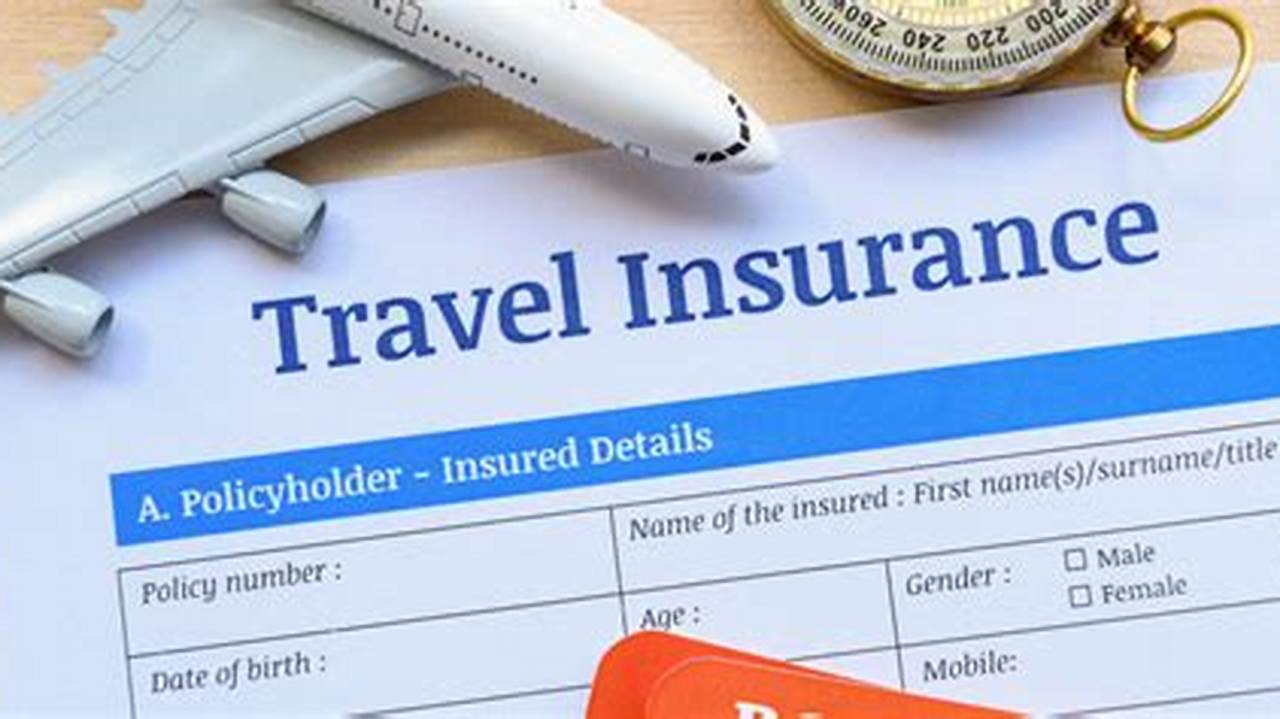 Policy Terms And Conditions, Travel Insurance