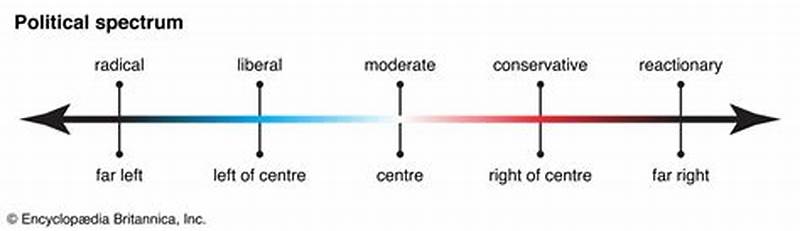 Political Spectrum Chart With Examples