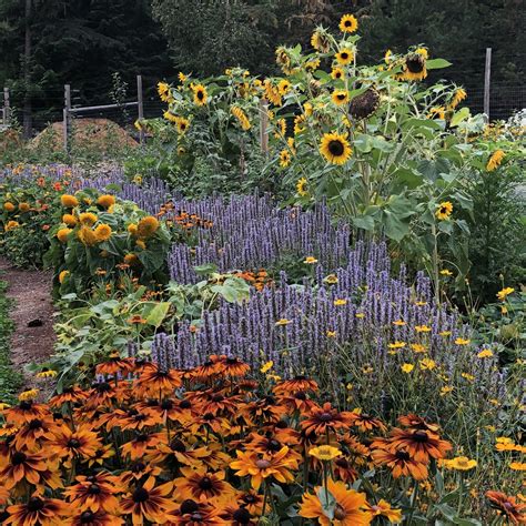 Planting For Pollinators Create A Beautiful Bee Friendly Garden