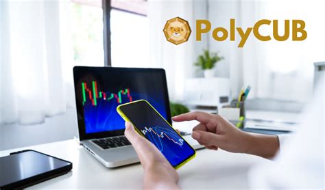 PolyCub: DeFi 2.0 Revolutionizing Yield Optimization on Polygon Network