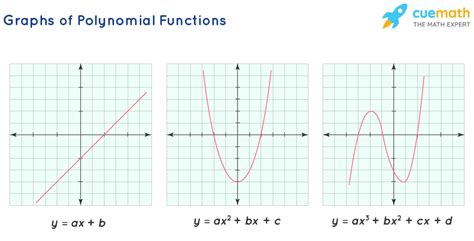 Polynomial Function Graph
