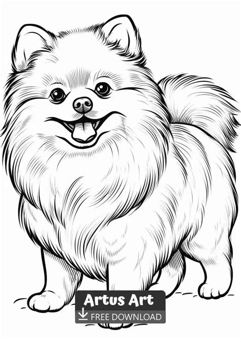 Pomeranian Coloring Pages
