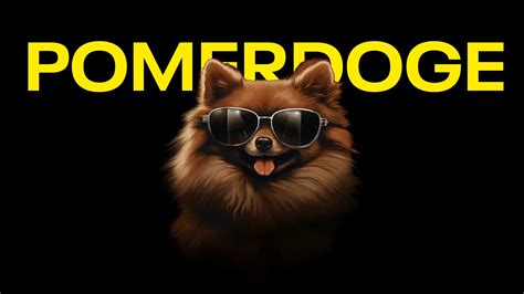 Pomerdoge Team