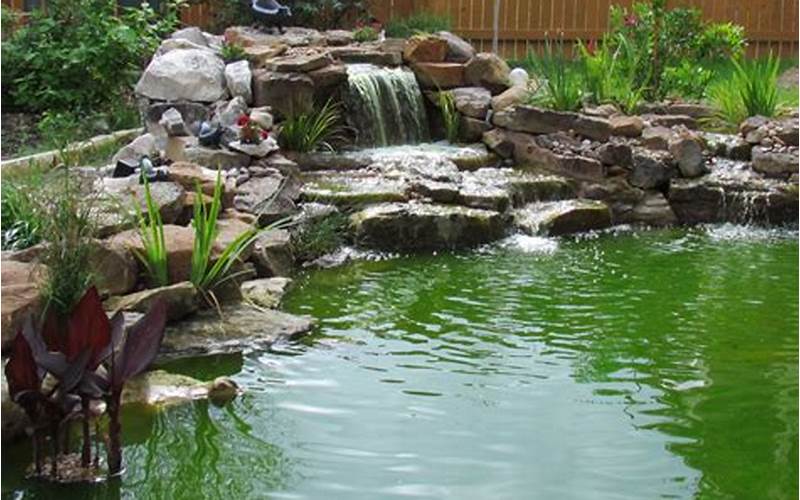 can i use pond water to start my aquaponics