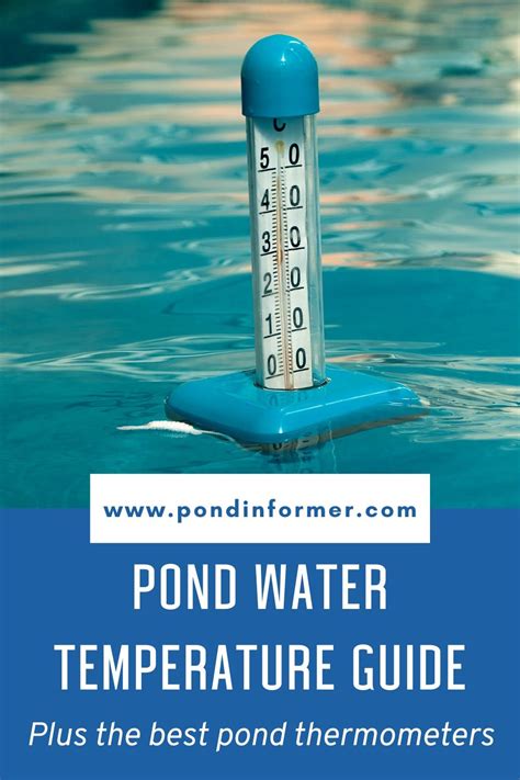 Understanding the Optimum Pond Water Temperature: Use Our Handy Calculator!