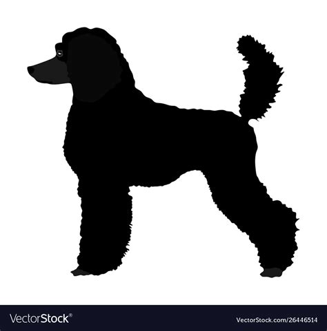 Download Poodle For Silhouette