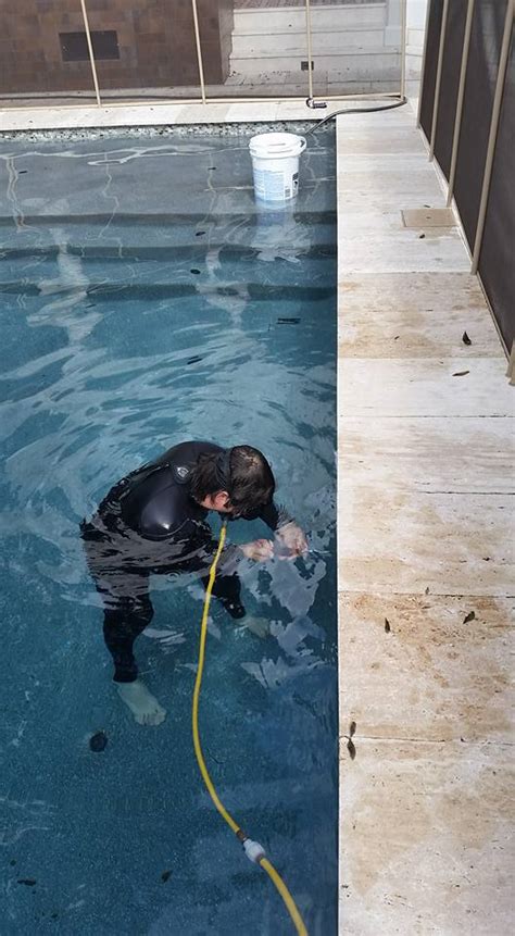 Pool Repair Problems St Petersburg FL