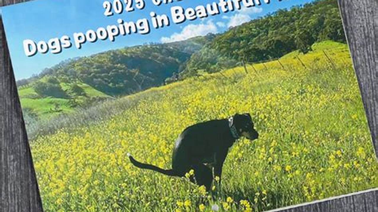 Pooping Dogs Calendar 2025