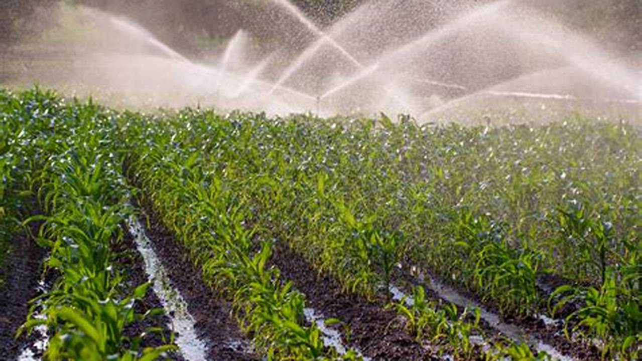 Poor Irrigation Practices, Farming Practices