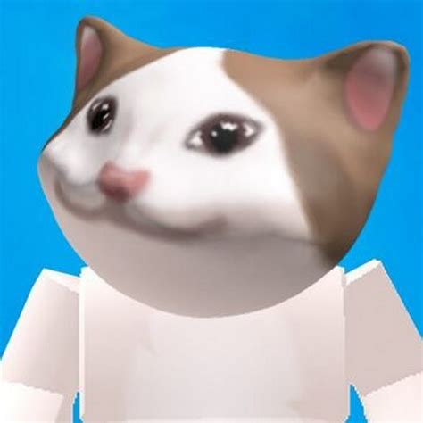 Pop Cat Roblox - YouTube