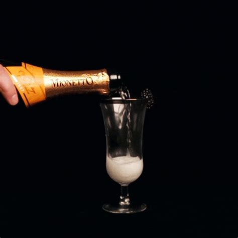 Cheers to the Good Times: Pop Champagne GIF Collection for Your Celebrations!