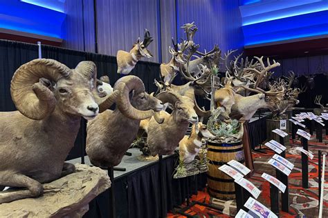 Pope and Young: Preserving the Legacy of North American Bowhunting