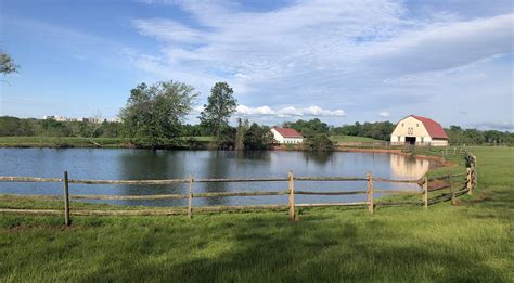 Discover the Serene Haven of Rescued Animals at Poplar Spring Animal Sanctuary