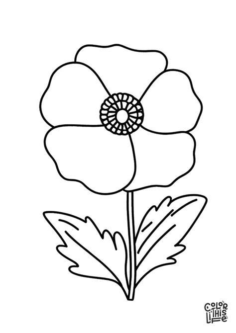 Poppies Coloring Page