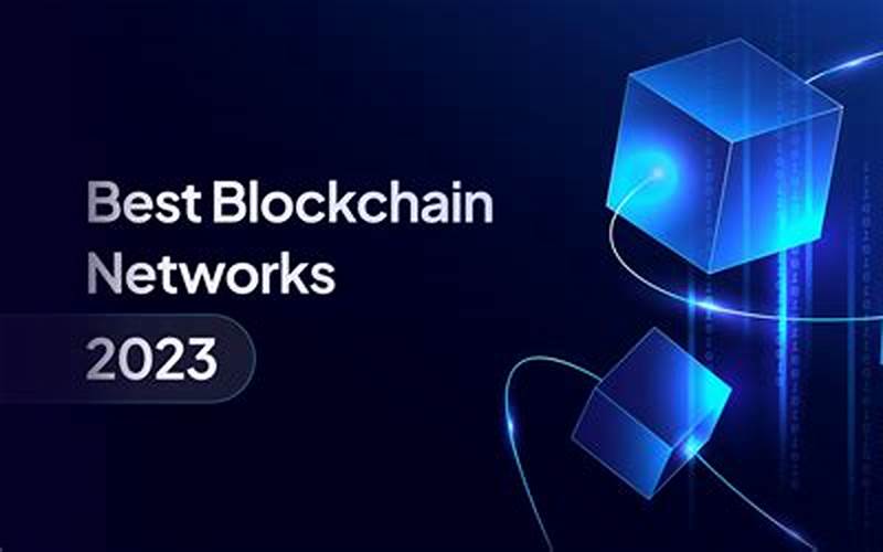 Popular Blockchain Networks
