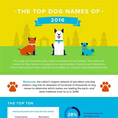 Popular Boy Dog Names 2016