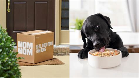 Popular Dog Food Delivery Options