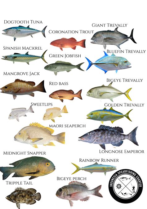 Popular Fish Species