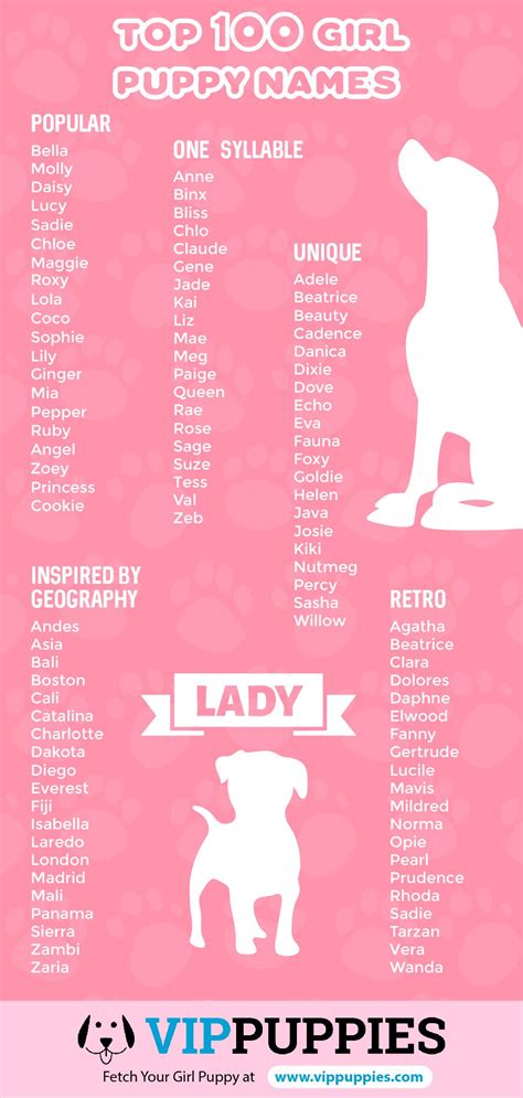 Popular Girl Puppy Names