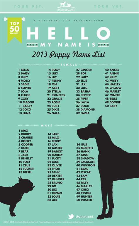 Popular Male Puppy Names