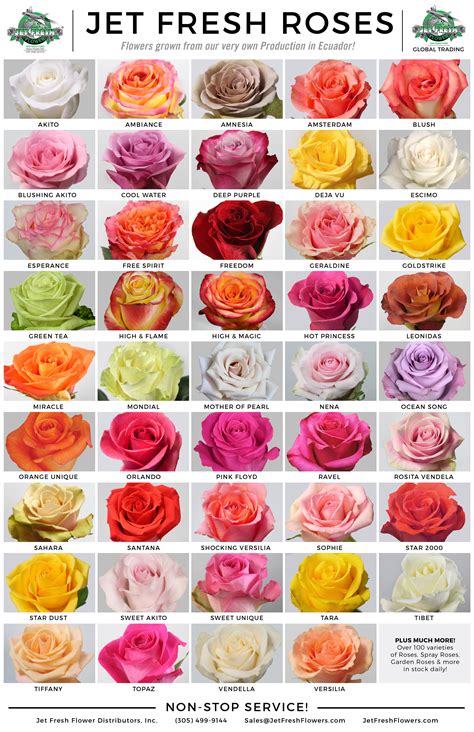 Popular Rose Type Flower Groups