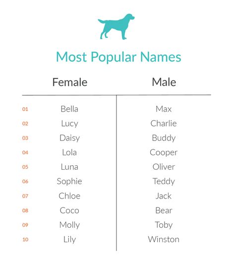In honor of National Dog Day, here's a list of the most popular dog