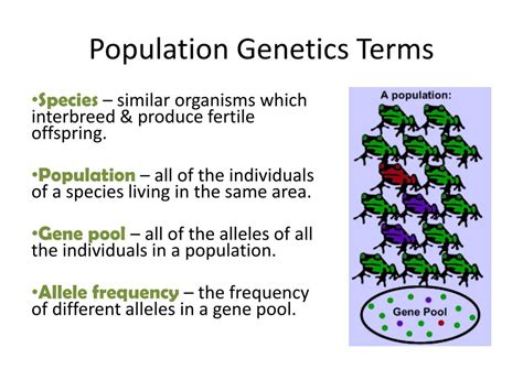 Gambar Populasi Genetika
