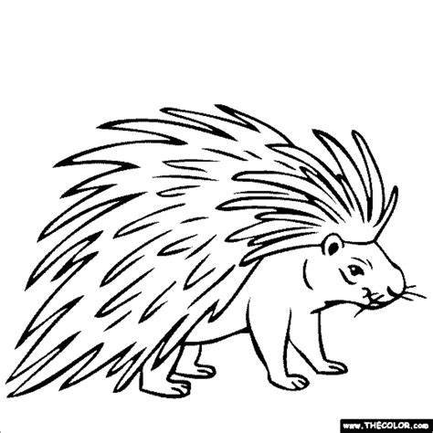 Porcupine Coloring Pages