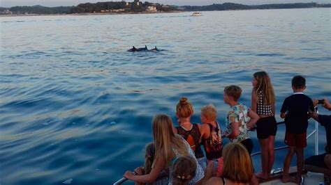 Porec Sunset Dolphin Tours: Are Private Boat Trips Worth It?